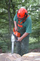 Click to see it big Ich mit Kettensäge, Impression aus dem Wald